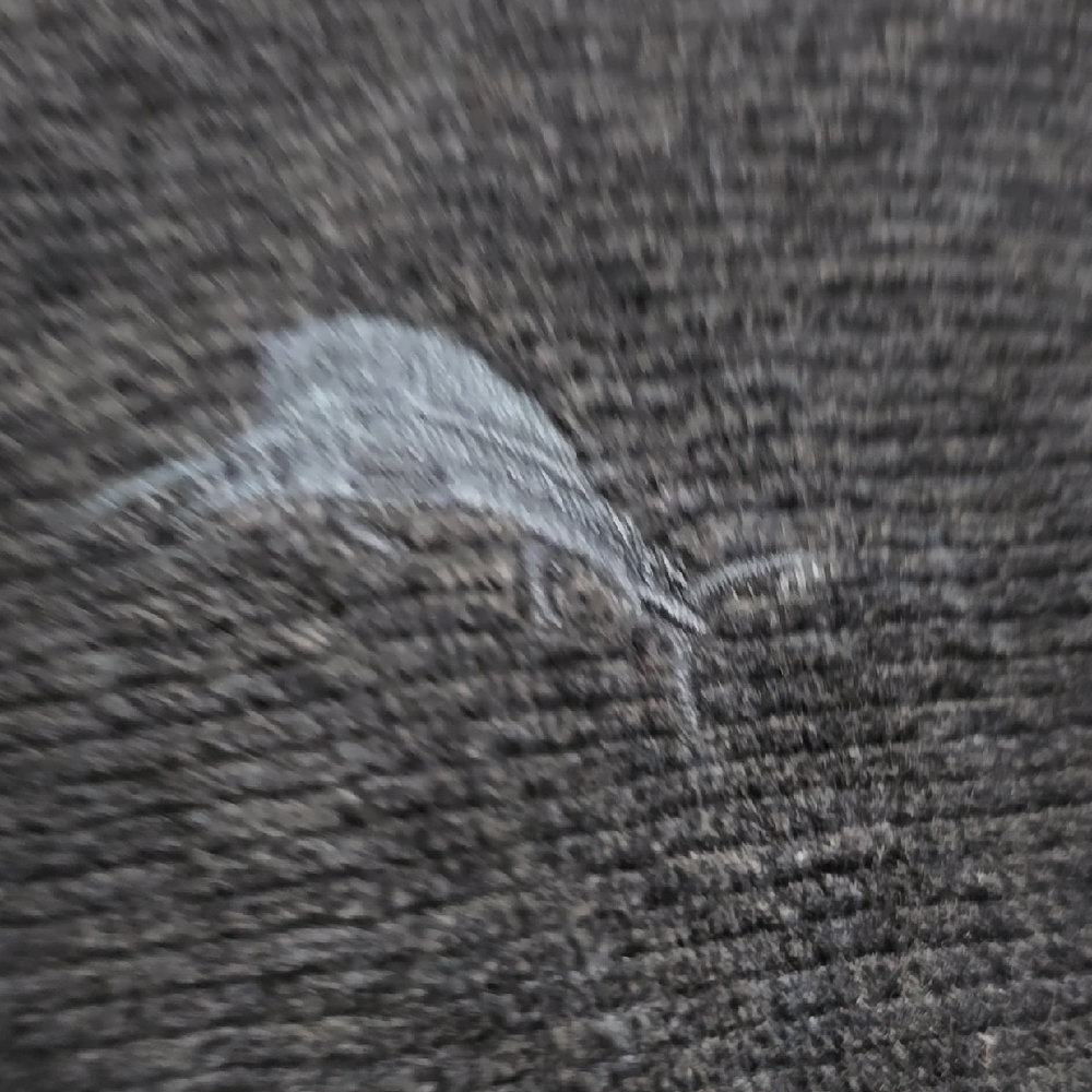 Tommy Bahama Blue Crewneck Sweater Long Sleeves L - Picture 5 of 6